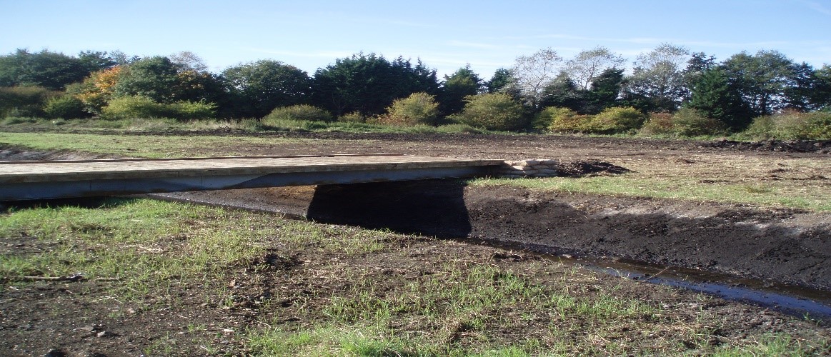 DAMSELFLY HABITAT CREATION